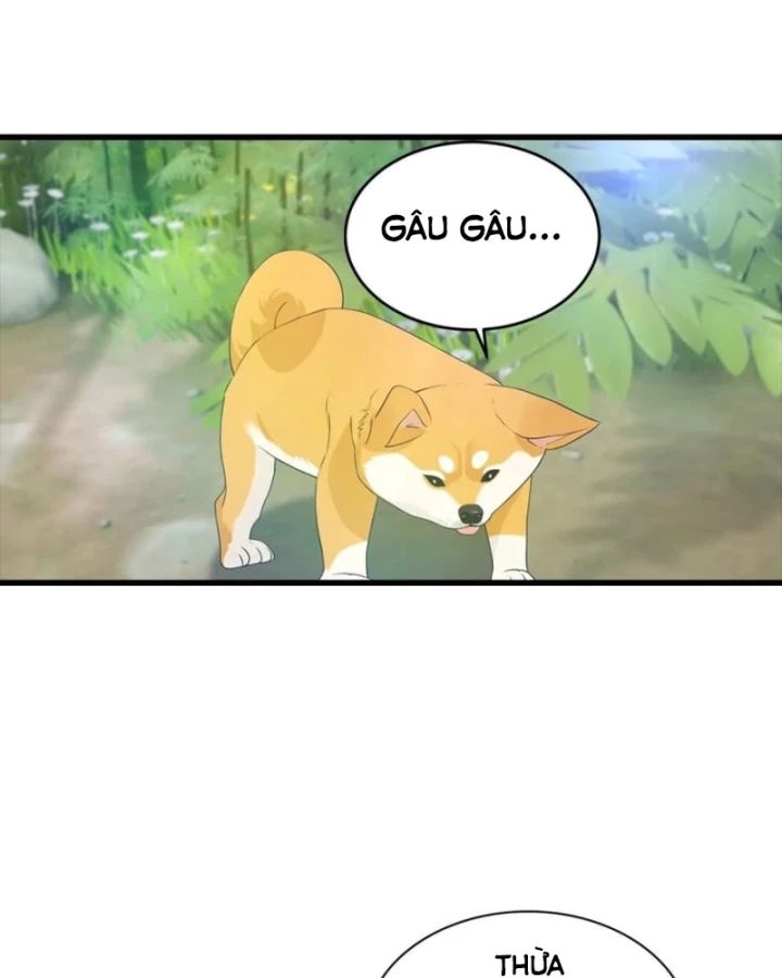 Đô Thị Thánh Thủ: Ta Là Y Võ Đỉnh Phong Chapter 127 - Trang 2