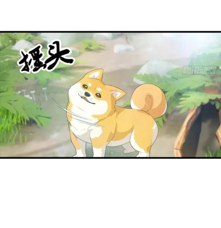 Đô Thị Thánh Thủ: Ta Là Y Võ Đỉnh Phong Chapter 127 - Trang 2