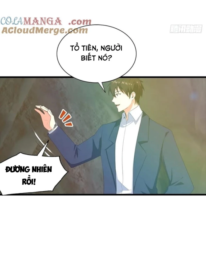 Đô Thị Thánh Thủ: Ta Là Y Võ Đỉnh Phong Chapter 128 - Trang 2
