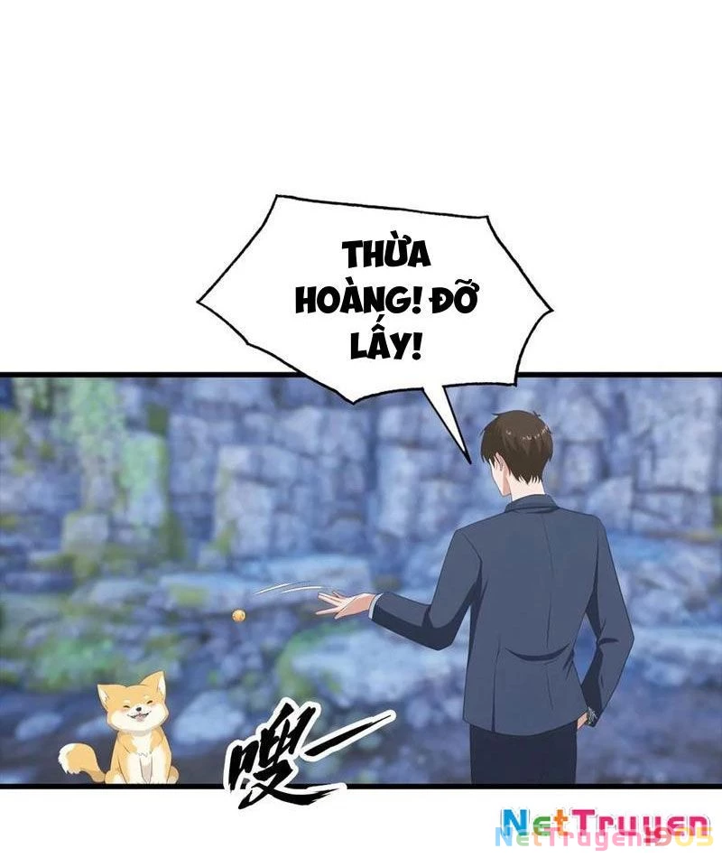 Đô Thị Thánh Thủ: Ta Là Y Võ Đỉnh Phong Chapter 134 - Trang 2