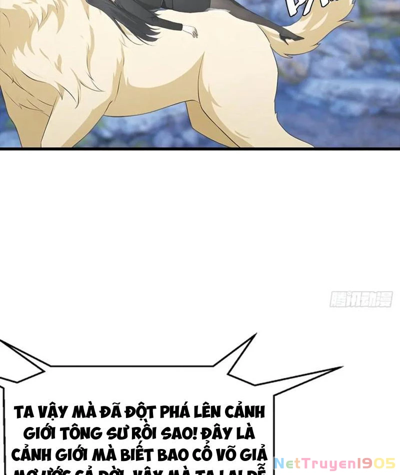 Đô Thị Thánh Thủ: Ta Là Y Võ Đỉnh Phong Chapter 134 - Trang 2