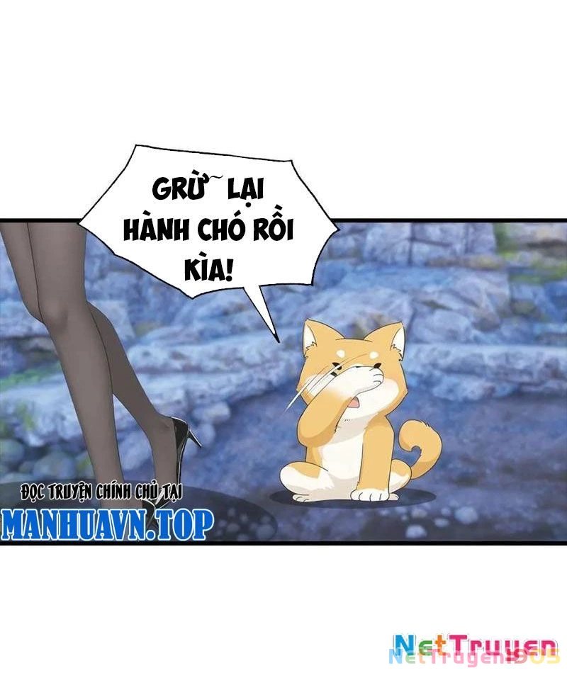Đô Thị Thánh Thủ: Ta Là Y Võ Đỉnh Phong Chapter 134 - Trang 2