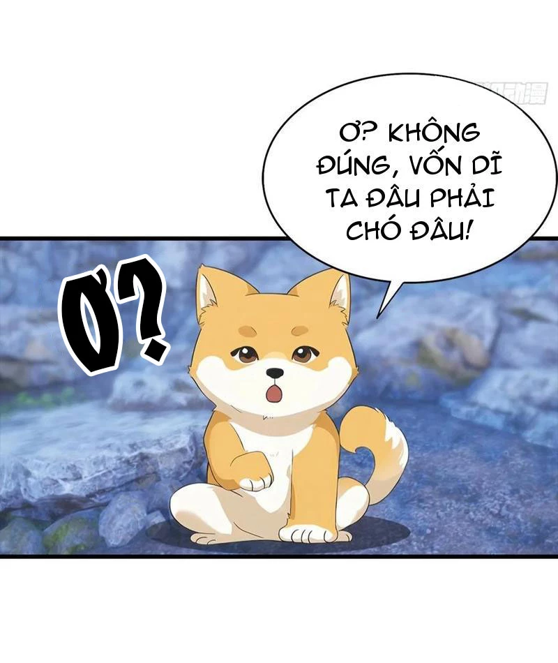 Đô Thị Thánh Thủ: Ta Là Y Võ Đỉnh Phong Chapter 134 - Trang 2
