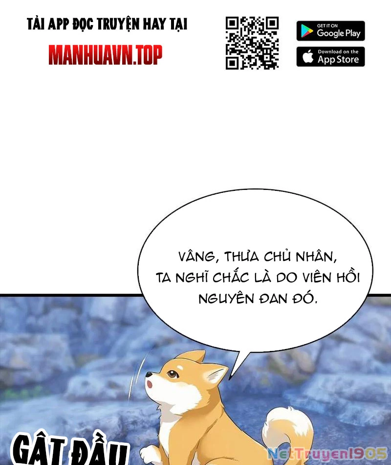 Đô Thị Thánh Thủ: Ta Là Y Võ Đỉnh Phong Chapter 134 - Trang 2