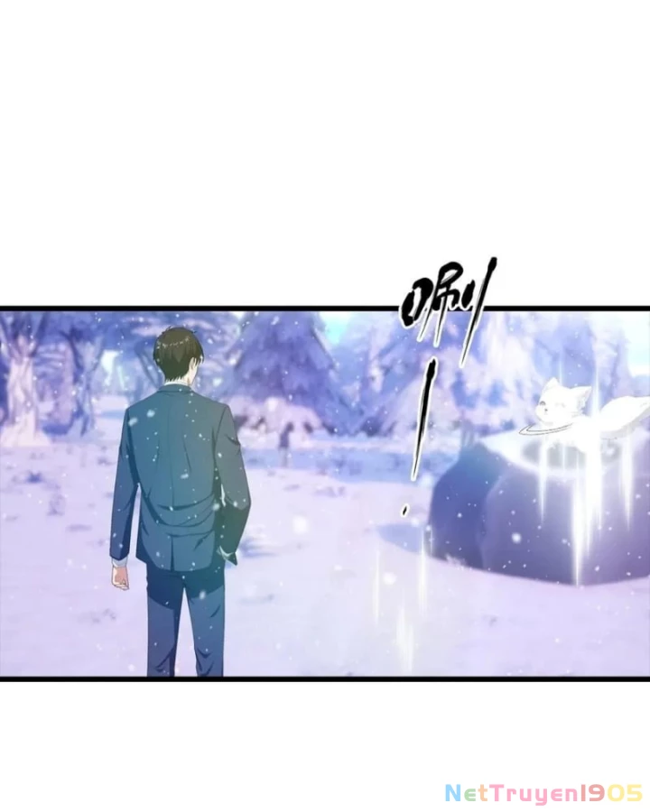 Đô Thị Thánh Thủ: Ta Là Y Võ Đỉnh Phong Chapter 139 - Trang 2