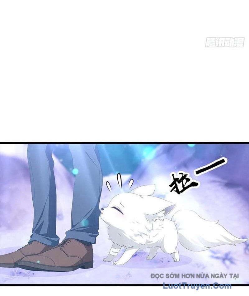 Đô Thị Thánh Thủ: Ta Là Y Võ Đỉnh Phong Chapter 140 - Trang 2