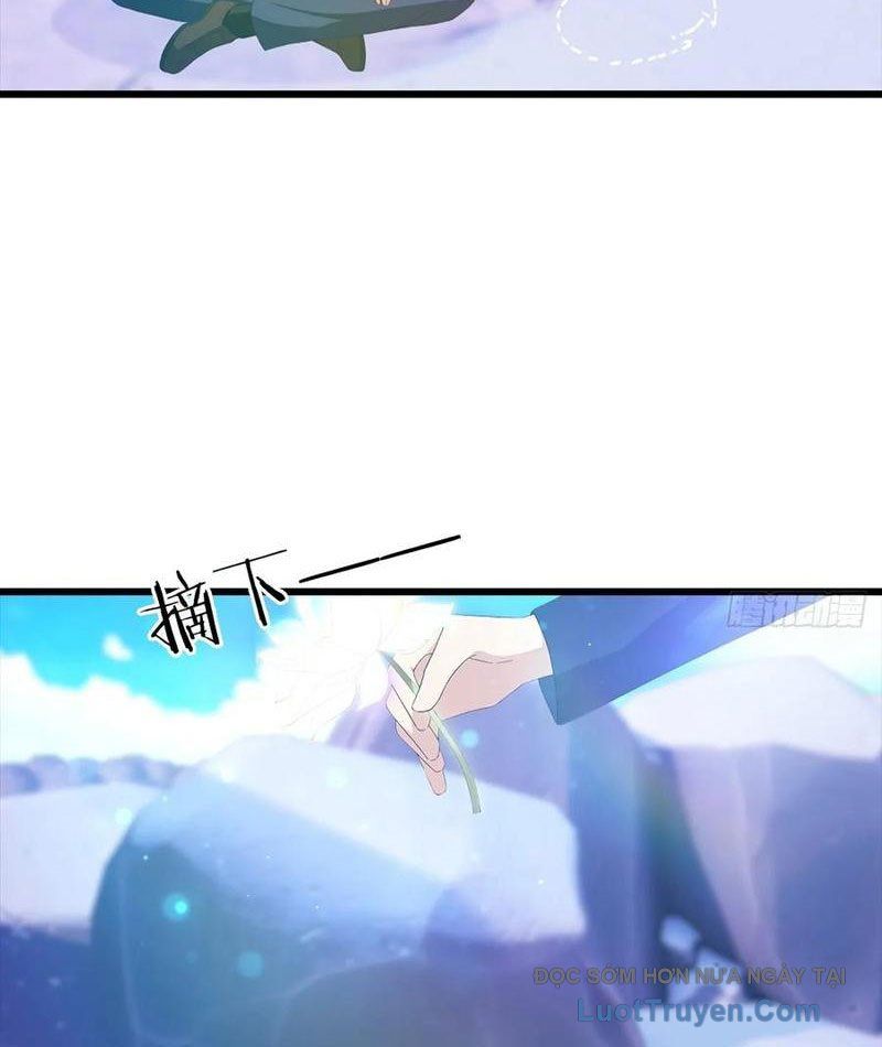 Đô Thị Thánh Thủ: Ta Là Y Võ Đỉnh Phong Chapter 140 - Trang 2