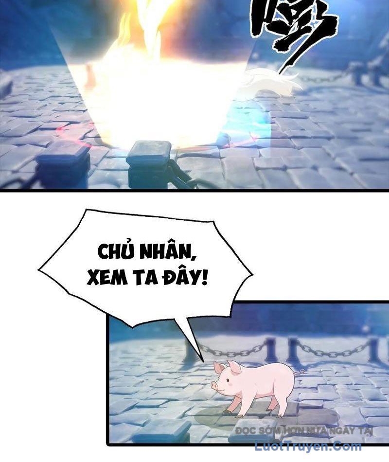 Đô Thị Thánh Thủ: Ta Là Y Võ Đỉnh Phong Chapter 140 - Trang 2