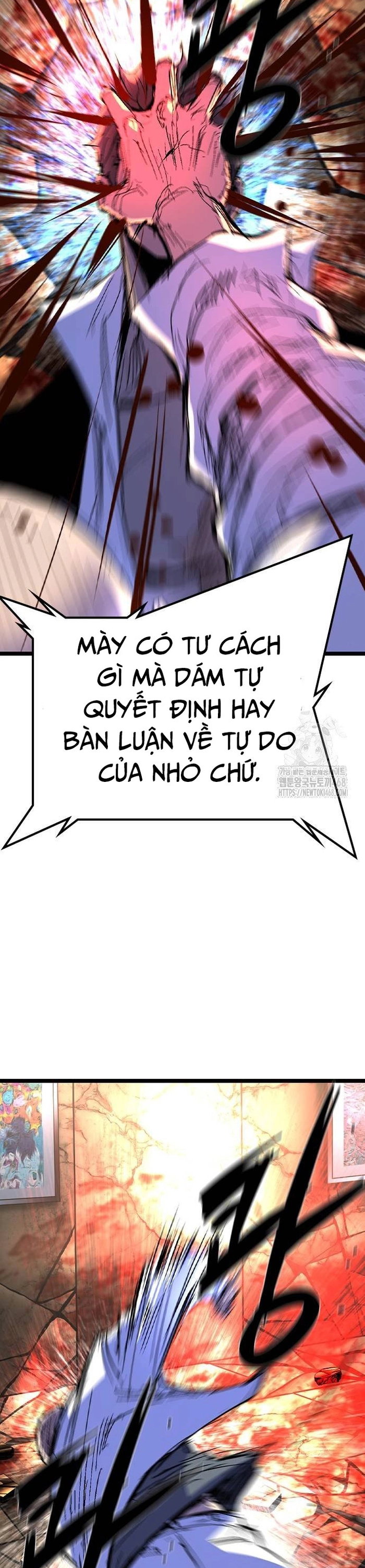 Phòng Gym Hanlim Chapter 223 - Trang 2