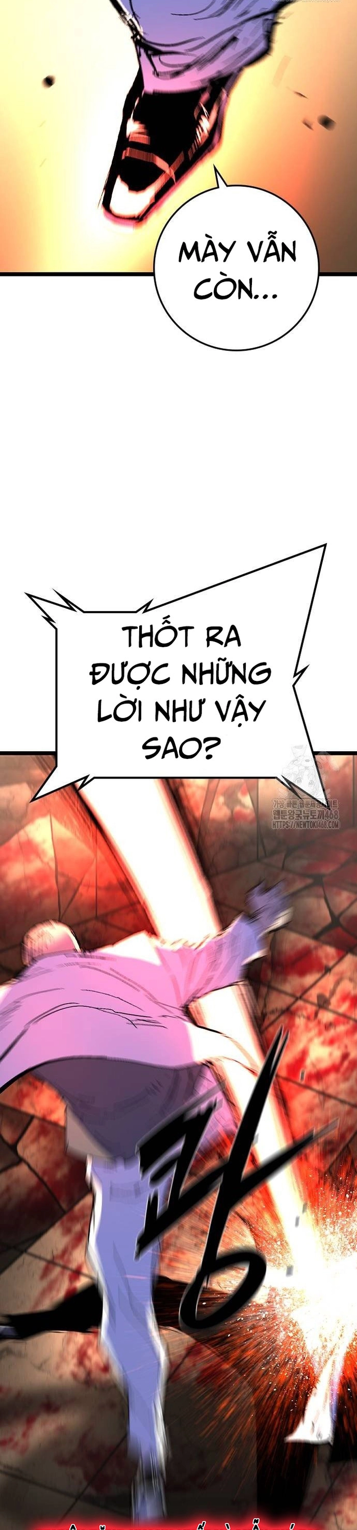 Phòng Gym Hanlim Chapter 223 - Trang 2