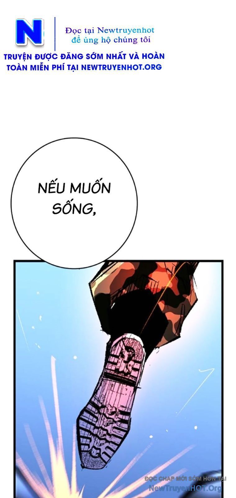 Phòng Gym Hanlim Chapter 242 - Trang 2