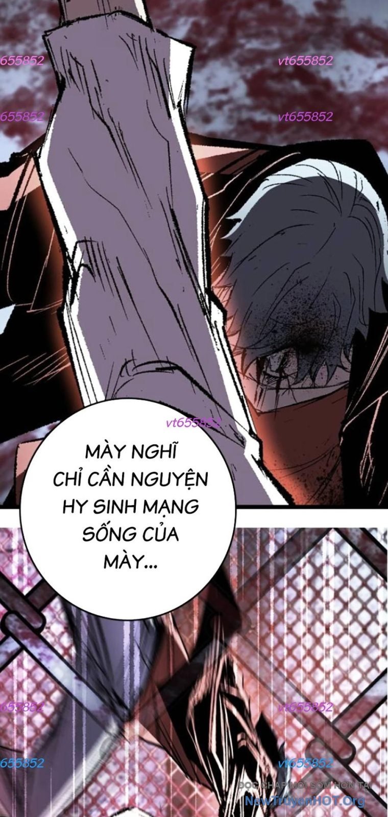 Phòng Gym Hanlim Chapter 243 - Trang 2