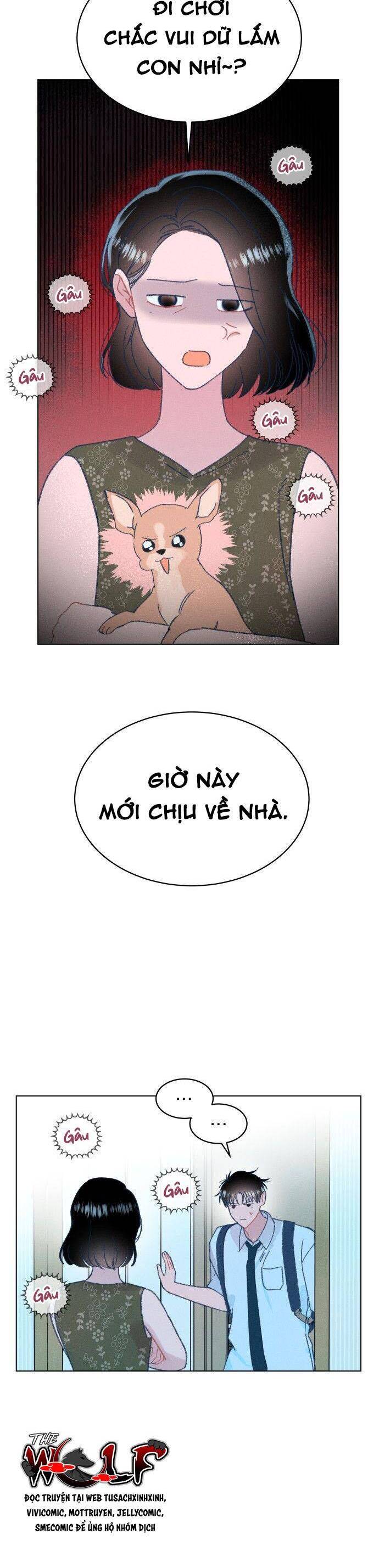 Bầu Trời Mùa Hạ Dấu Yêu Chapter 47 - Trang 2