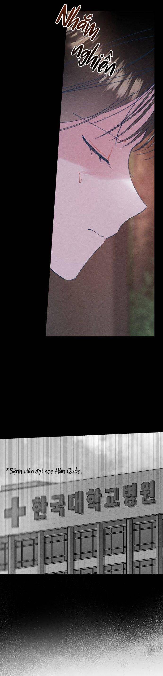 Bầu Trời Mùa Hạ Dấu Yêu Chapter 47 - Trang 2