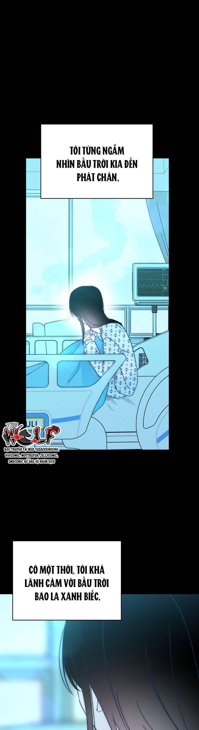 Bầu Trời Mùa Hạ Dấu Yêu Chapter 49 - Trang 2