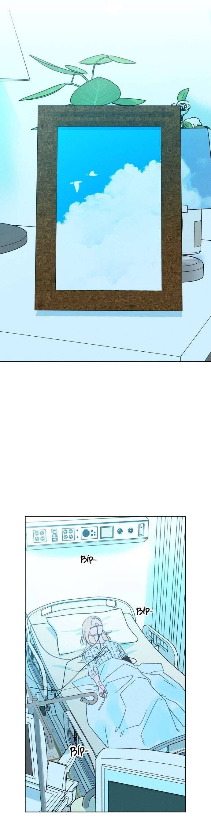 Bầu Trời Mùa Hạ Dấu Yêu Chapter 59 - Trang 2