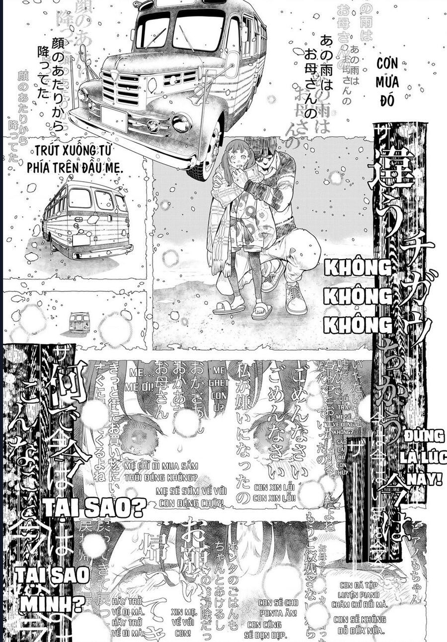 Pháp Sư Tro Tàn Chapter 9 - Trang 2