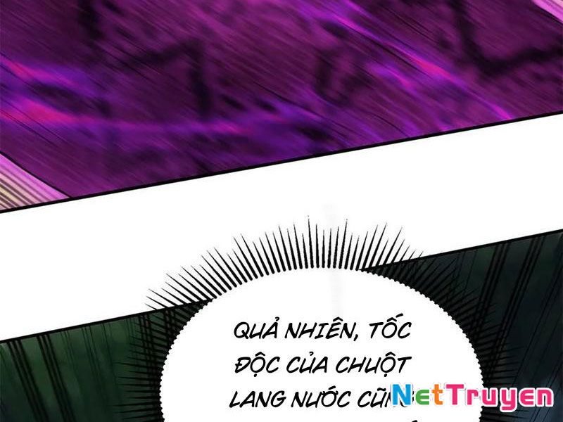 Sau Khi Sống Lại Ở Mạt Thế, Ta Điên Cuồng Thăng Cấp Chapter 41 - Trang 2