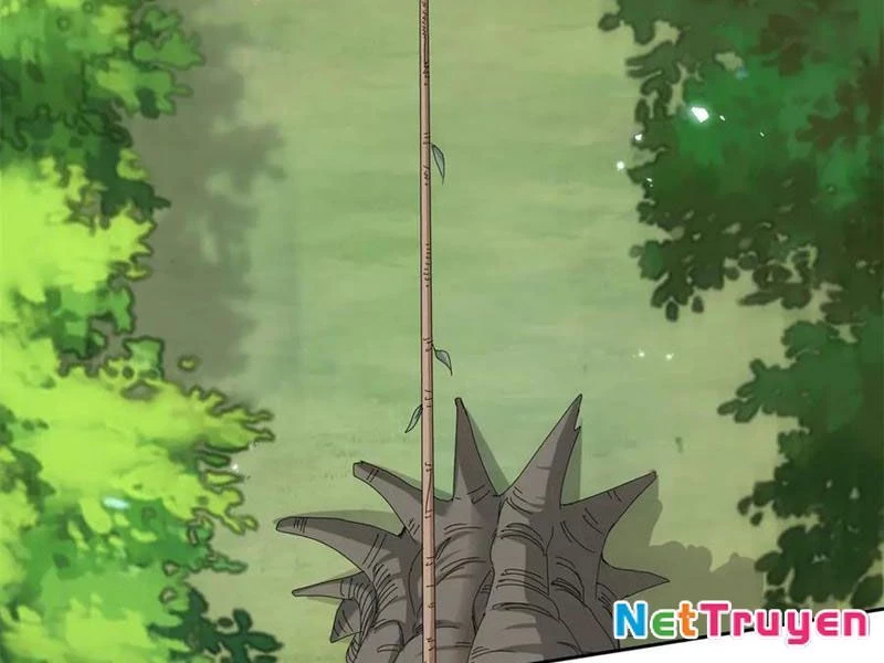 Sau Khi Sống Lại Ở Mạt Thế, Ta Điên Cuồng Thăng Cấp Chapter 42 - Trang 2