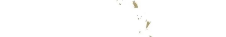 Bậc Thầy Toàn Bộ Kỹ Năng Chapter 22 - Trang 2