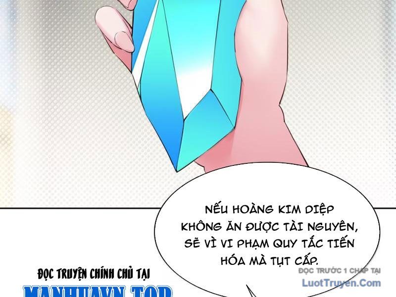 Xong Rồi, Ta Bị Sủng Thú Của Mình Bao Vây Rồi! Chapter 27 - Trang 2