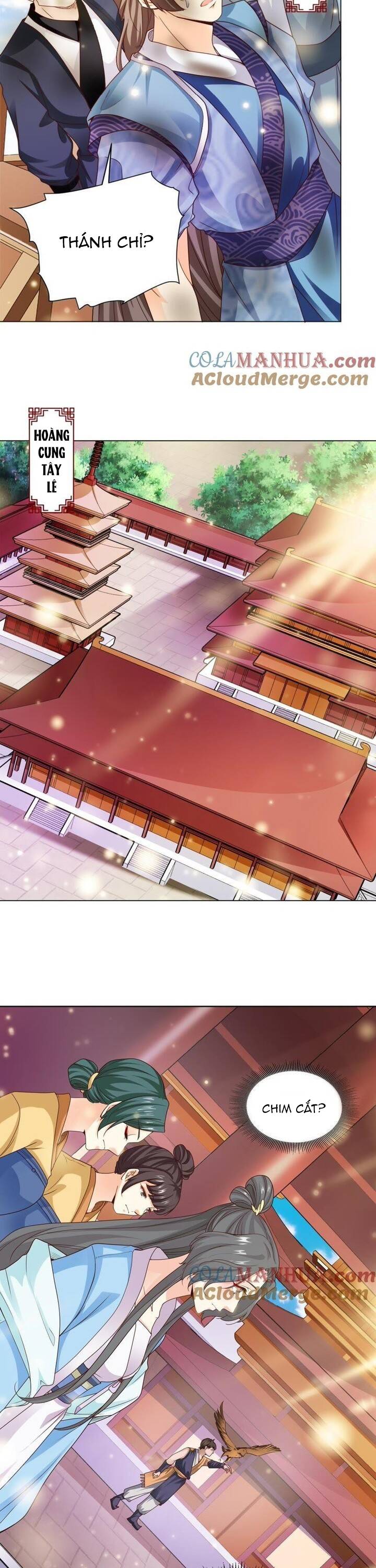 Thanh Linh Ở Đâu ? Chapter 24 - Trang 2