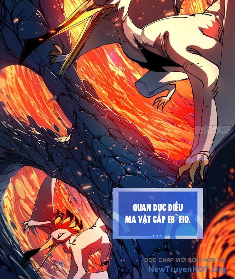 Tôi Dùng Hệ Thống Đỉnh Cấp Tái Tạo Thế Giới Chapter 3 - Trang 2
