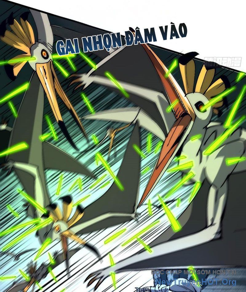 Tôi Dùng Hệ Thống Đỉnh Cấp Tái Tạo Thế Giới Chapter 4 - Trang 2