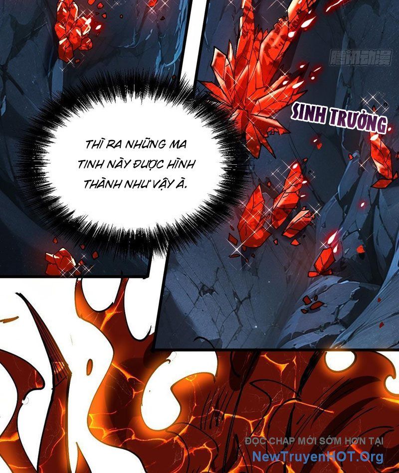 Tôi Dùng Hệ Thống Đỉnh Cấp Tái Tạo Thế Giới Chapter 4 - Trang 2