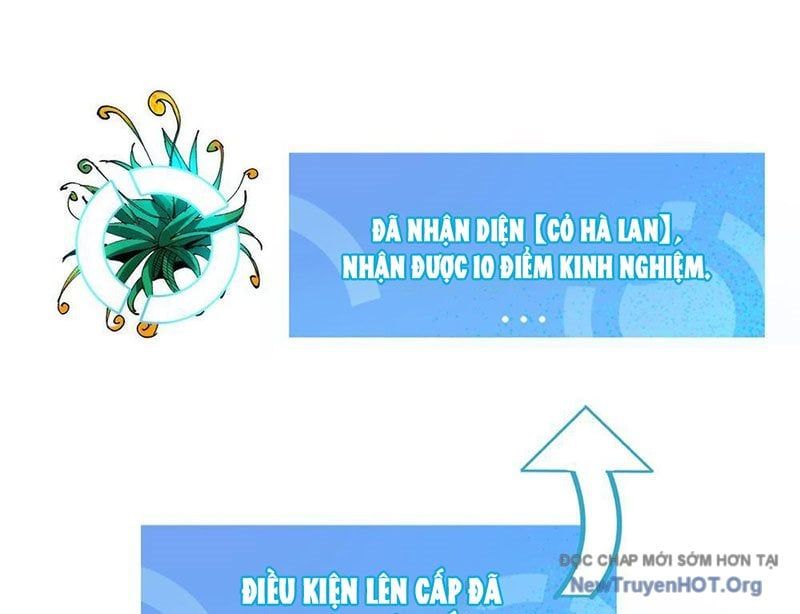 Tôi Dùng Hệ Thống Đỉnh Cấp Tái Tạo Thế Giới Chapter 13 - Trang 2