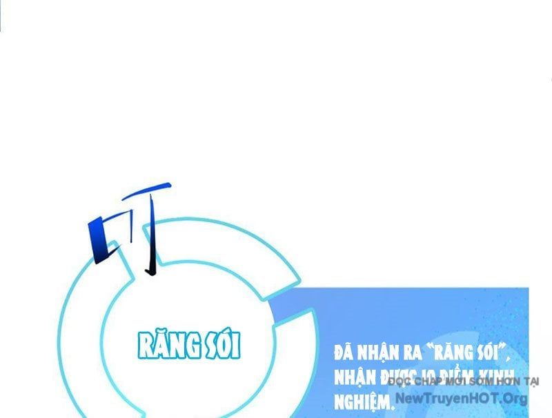 Tôi Dùng Hệ Thống Đỉnh Cấp Tái Tạo Thế Giới Chapter 13 - Trang 2