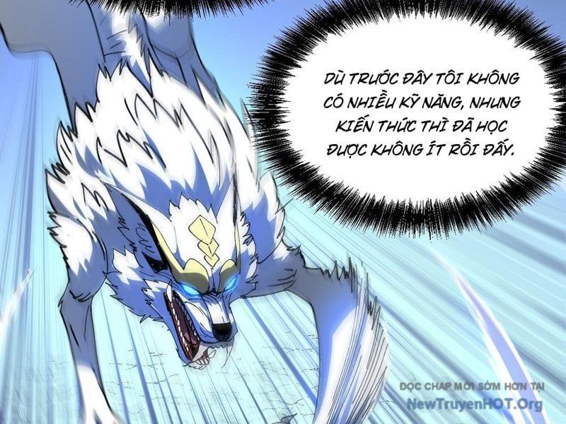 Tôi Dùng Hệ Thống Đỉnh Cấp Tái Tạo Thế Giới Chapter 14 - Trang 2