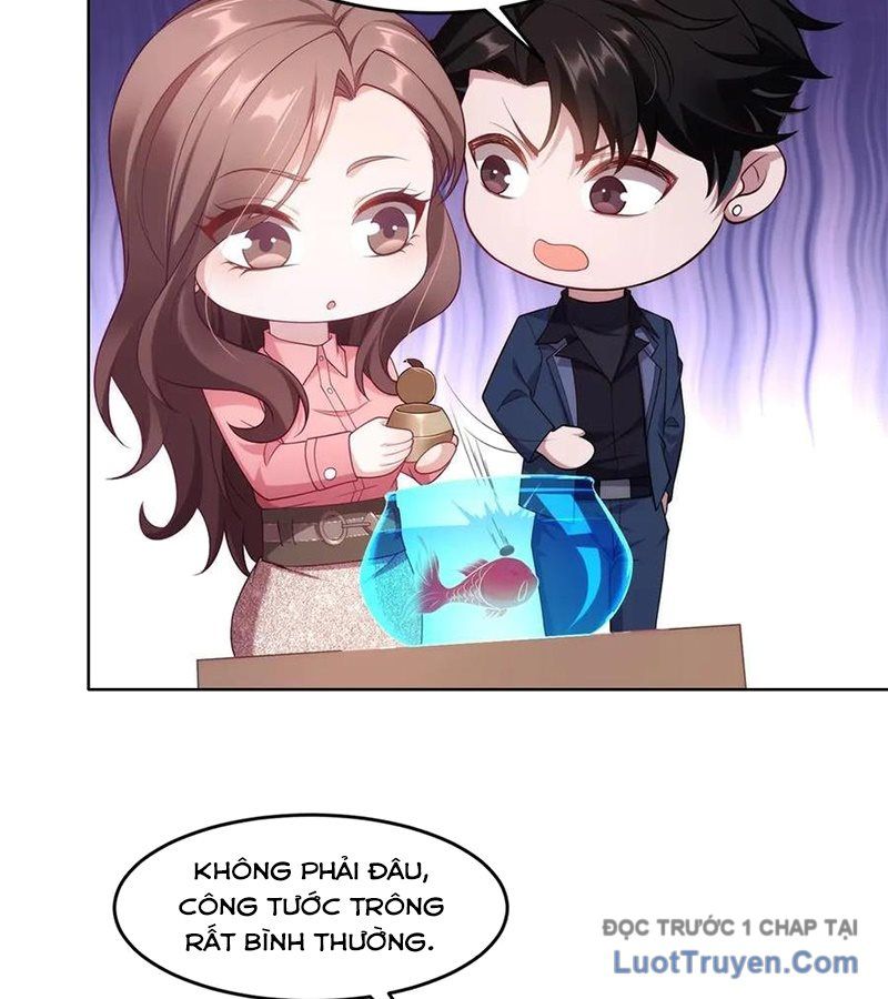 Cửa Hàng Sủng Vật Thần Kỳ Chapter 3 - Trang 2