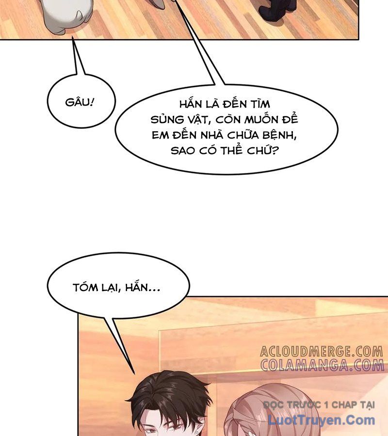 Cửa Hàng Sủng Vật Thần Kỳ Chapter 3 - Trang 2