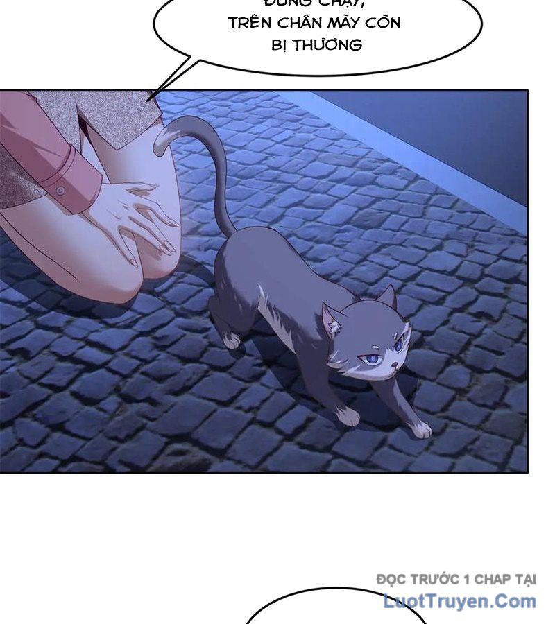 Cửa Hàng Sủng Vật Thần Kỳ Chapter 3 - Trang 2