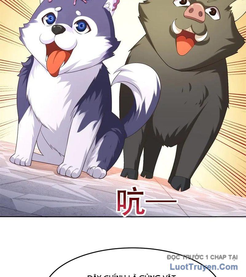 Cửa Hàng Sủng Vật Thần Kỳ Chapter 3 - Trang 2