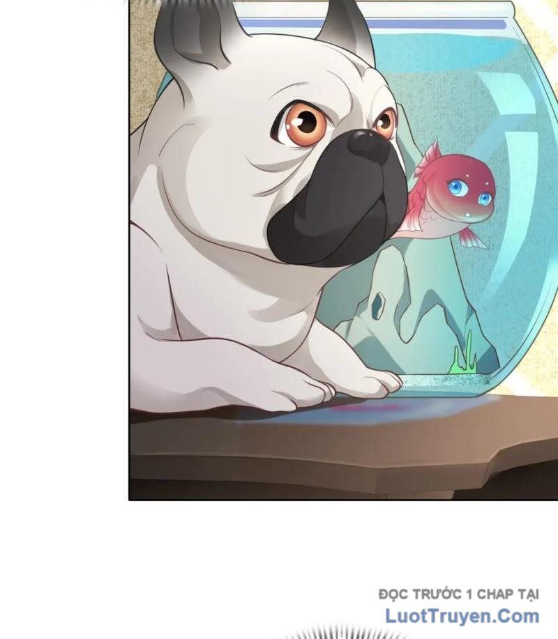 Cửa Hàng Sủng Vật Thần Kỳ Chapter 6 - Trang 2