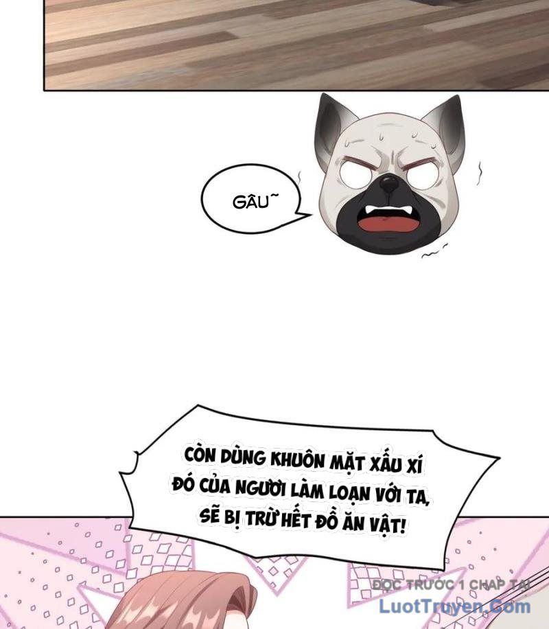 Cửa Hàng Sủng Vật Thần Kỳ Chapter 6 - Trang 2