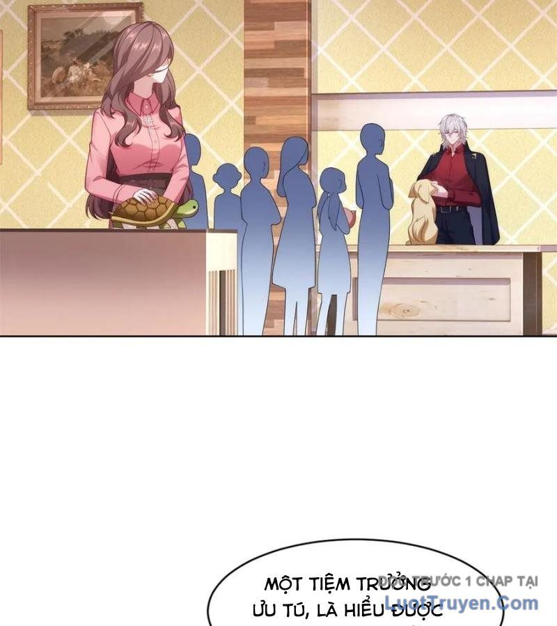 Cửa Hàng Sủng Vật Thần Kỳ Chapter 7 - Trang 2