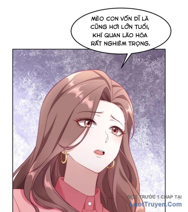 Cửa Hàng Sủng Vật Thần Kỳ Chapter 9 - Trang 2