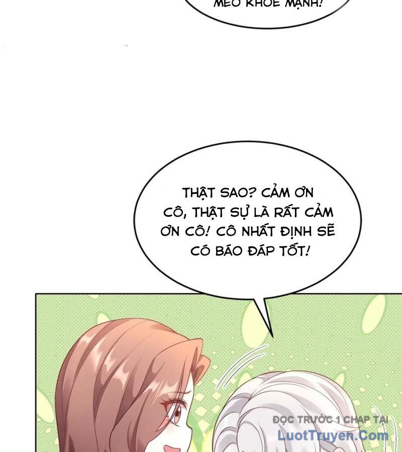 Cửa Hàng Sủng Vật Thần Kỳ Chapter 9 - Trang 2