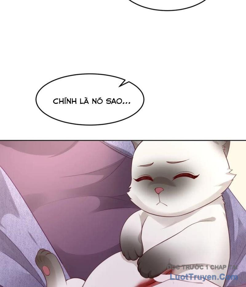 Cửa Hàng Sủng Vật Thần Kỳ Chapter 9 - Trang 2