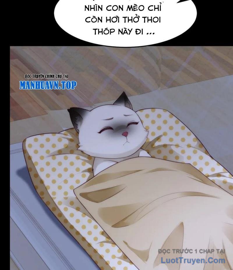 Cửa Hàng Sủng Vật Thần Kỳ Chapter 9 - Trang 2