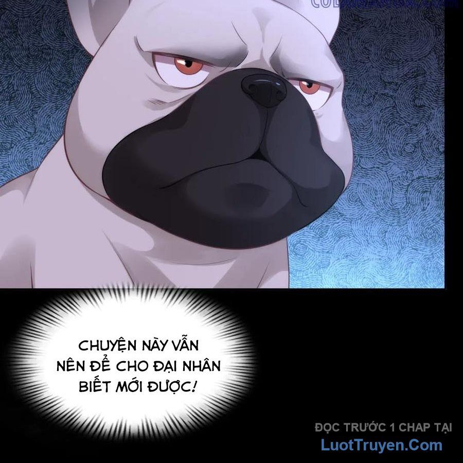 Cửa Hàng Sủng Vật Thần Kỳ Chapter 12 - Trang 2