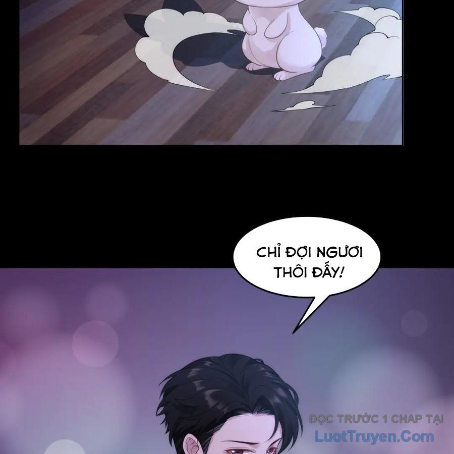 Cửa Hàng Sủng Vật Thần Kỳ Chapter 12 - Trang 2