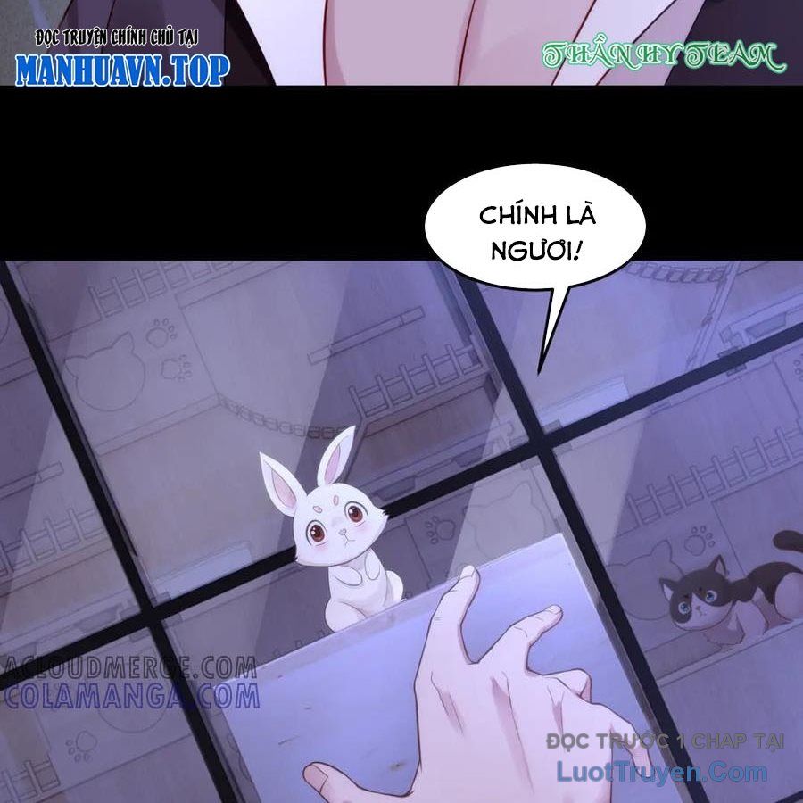 Cửa Hàng Sủng Vật Thần Kỳ Chapter 12 - Trang 2