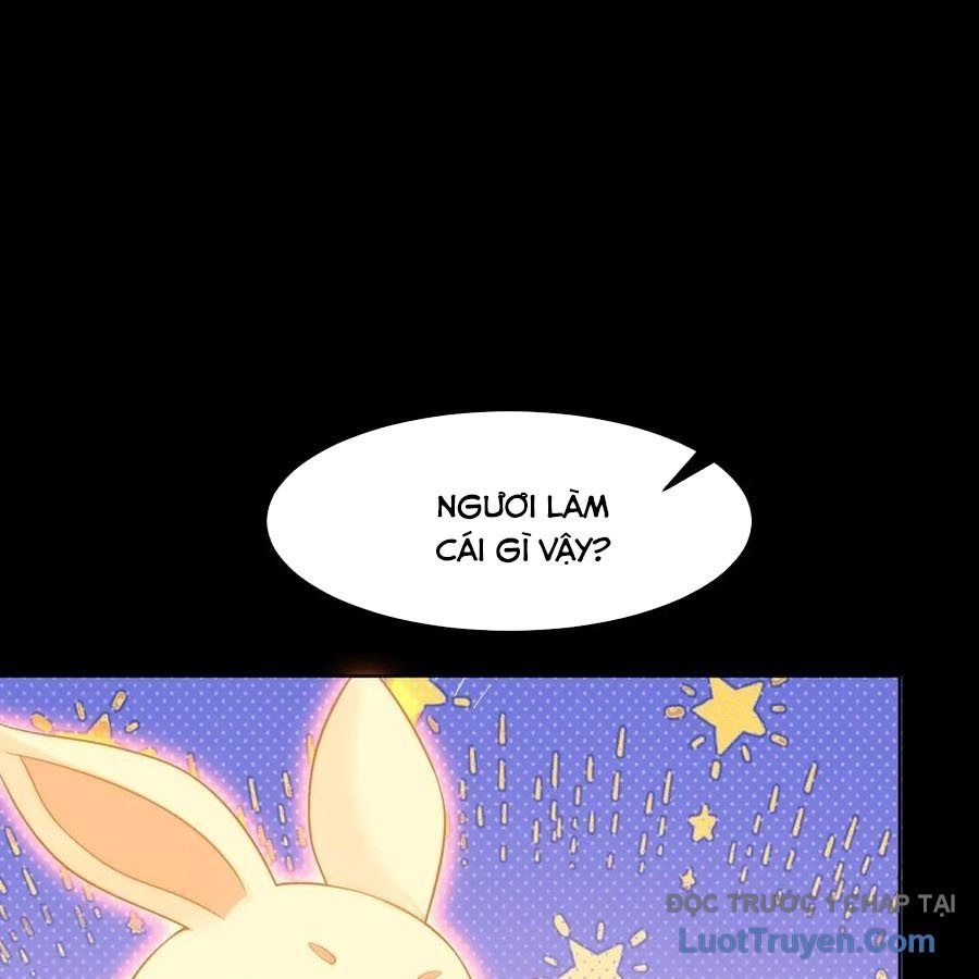 Cửa Hàng Sủng Vật Thần Kỳ Chapter 12 - Trang 2