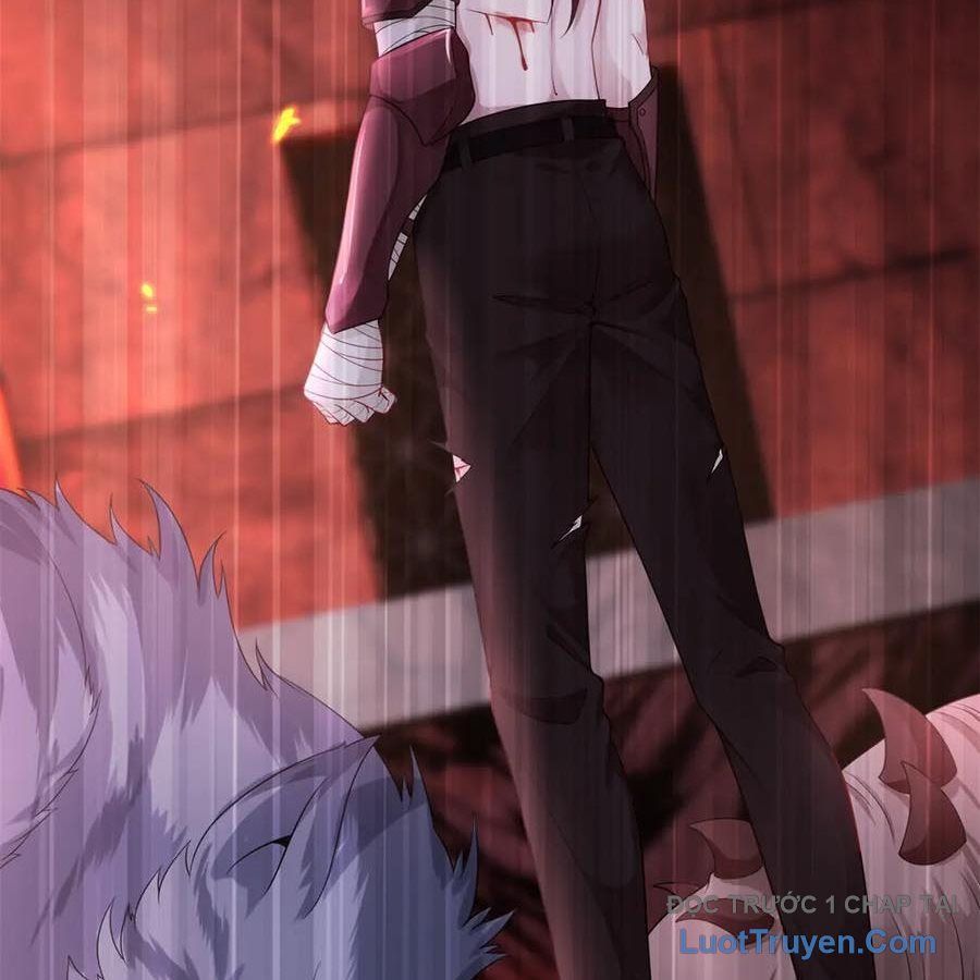 Cửa Hàng Sủng Vật Thần Kỳ Chapter 12 - Trang 2