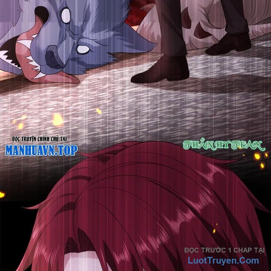 Cửa Hàng Sủng Vật Thần Kỳ Chapter 12 - Trang 2