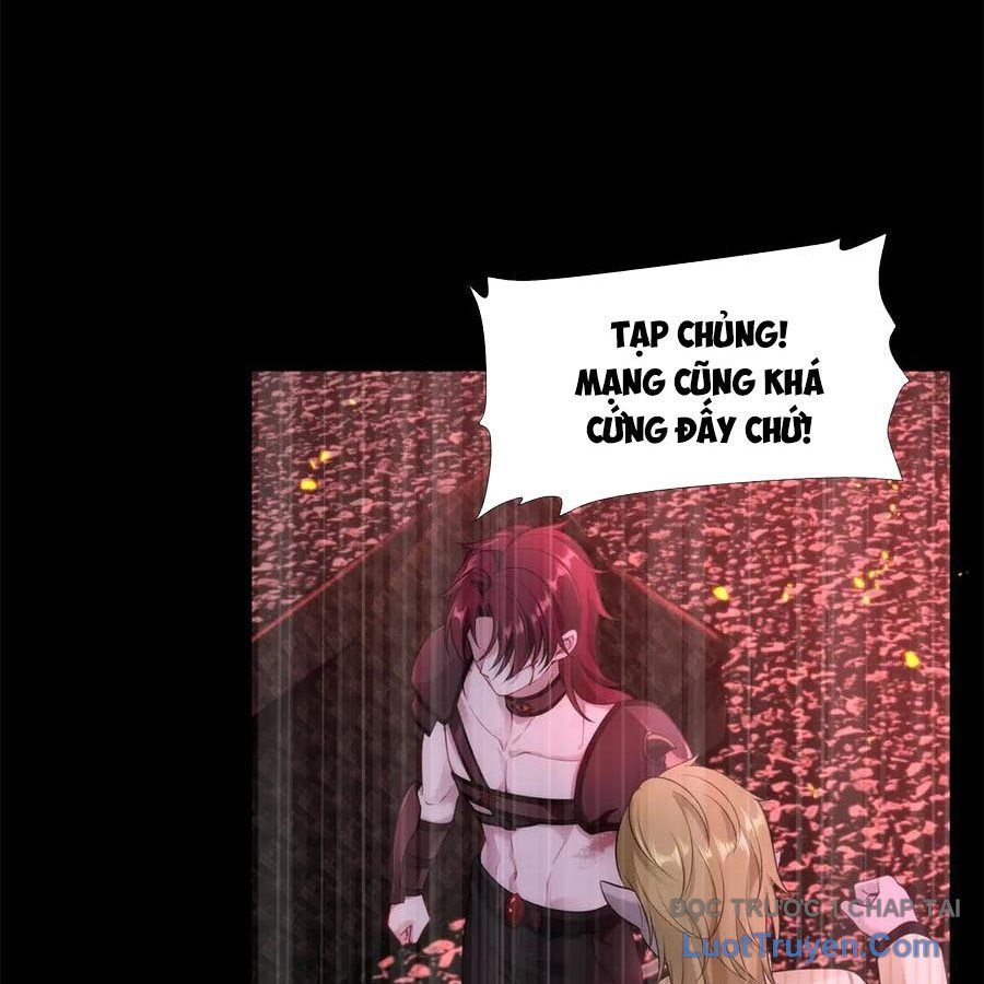 Cửa Hàng Sủng Vật Thần Kỳ Chapter 12 - Trang 2